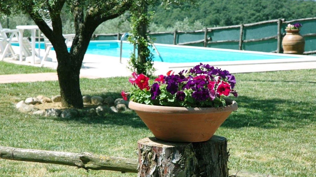 Photo of Outdoor in Deruta