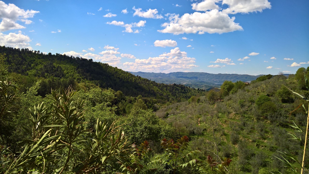 Photo of Outdoor in Castelfranco di Sopra