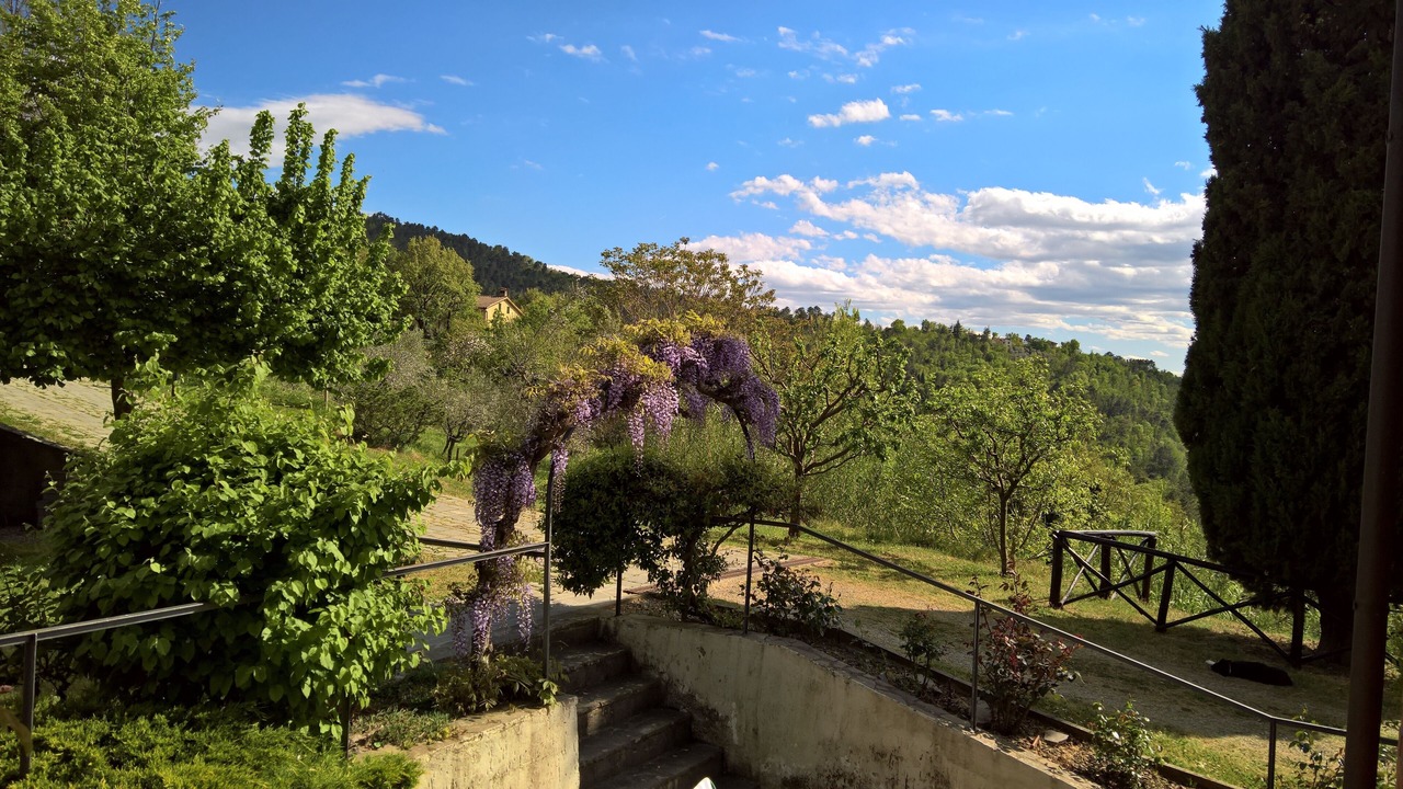 Photo of Outdoor in Castelfranco di Sopra