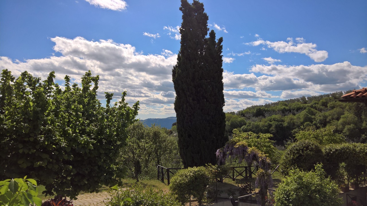 Photo of Outdoor in Castelfranco di Sopra
