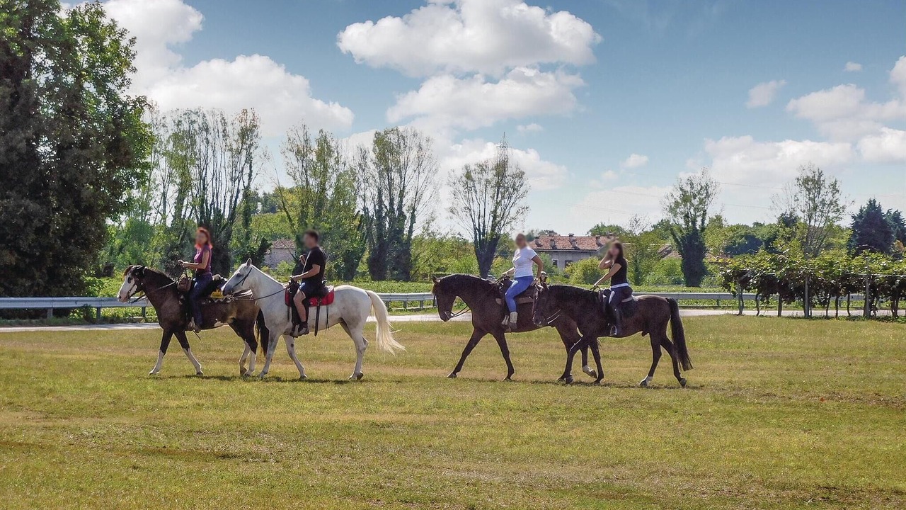 Photo of Others in Longare
