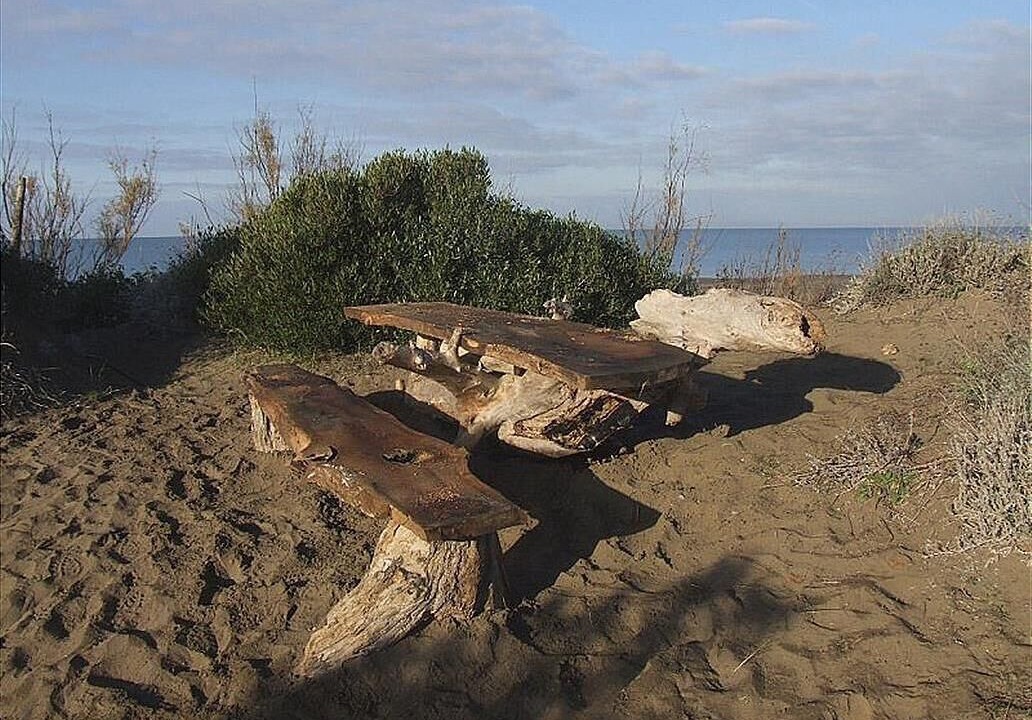 Photo of Others in Marina di Castagneto Carducci