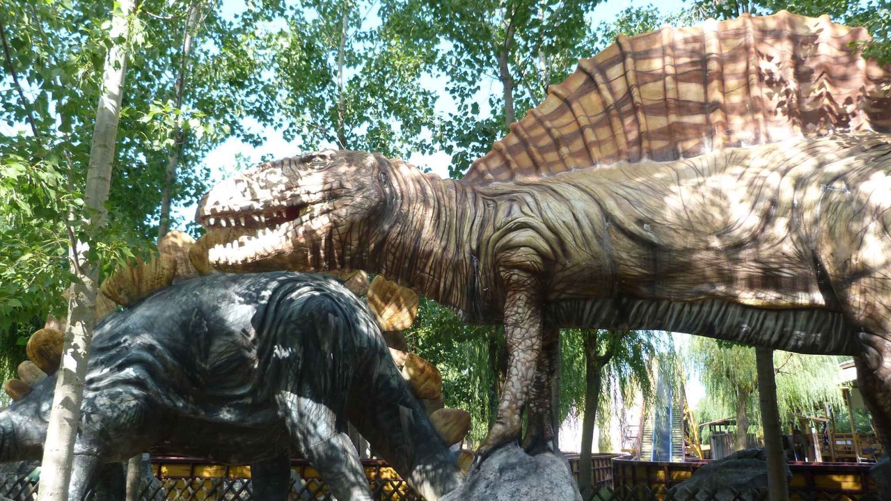 Photo of Outdoor in Lignano Sabbiadoro