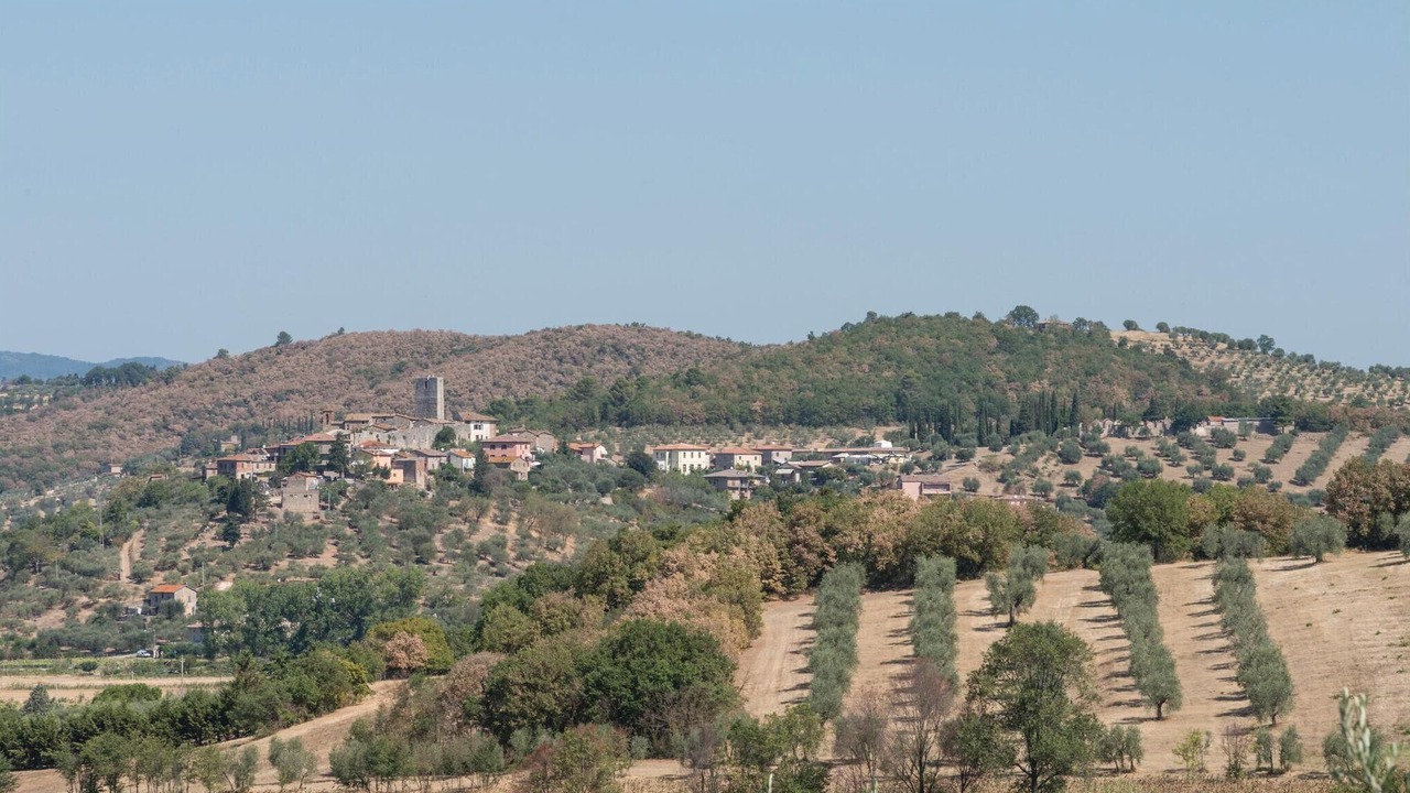 Photo of Others in Magione