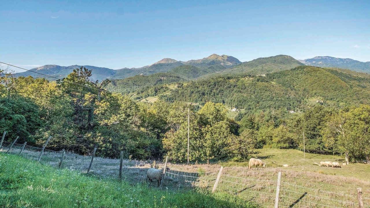 Photo of Bedroom in Varese Ligure