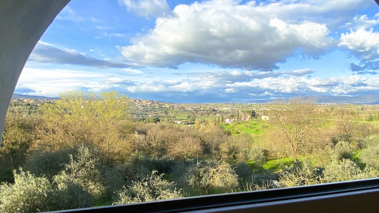 Photo of Others in Monte San Savino