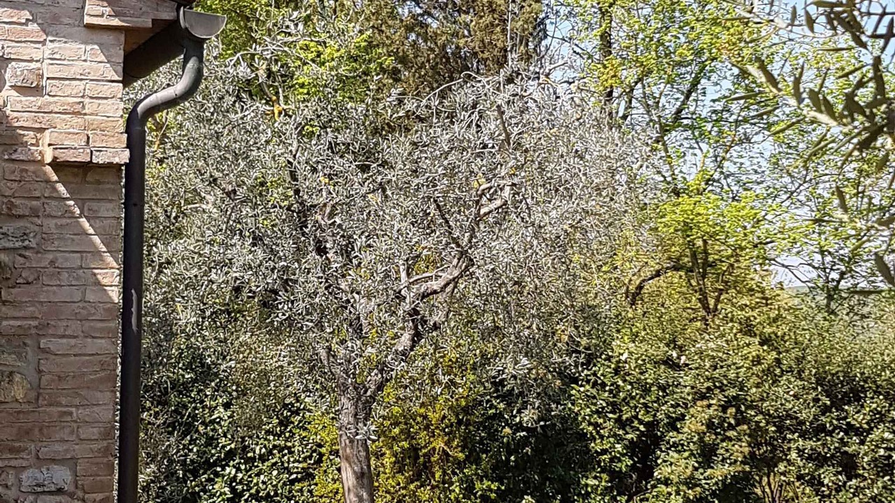 Photo of Outdoor in Gambassi Terme
