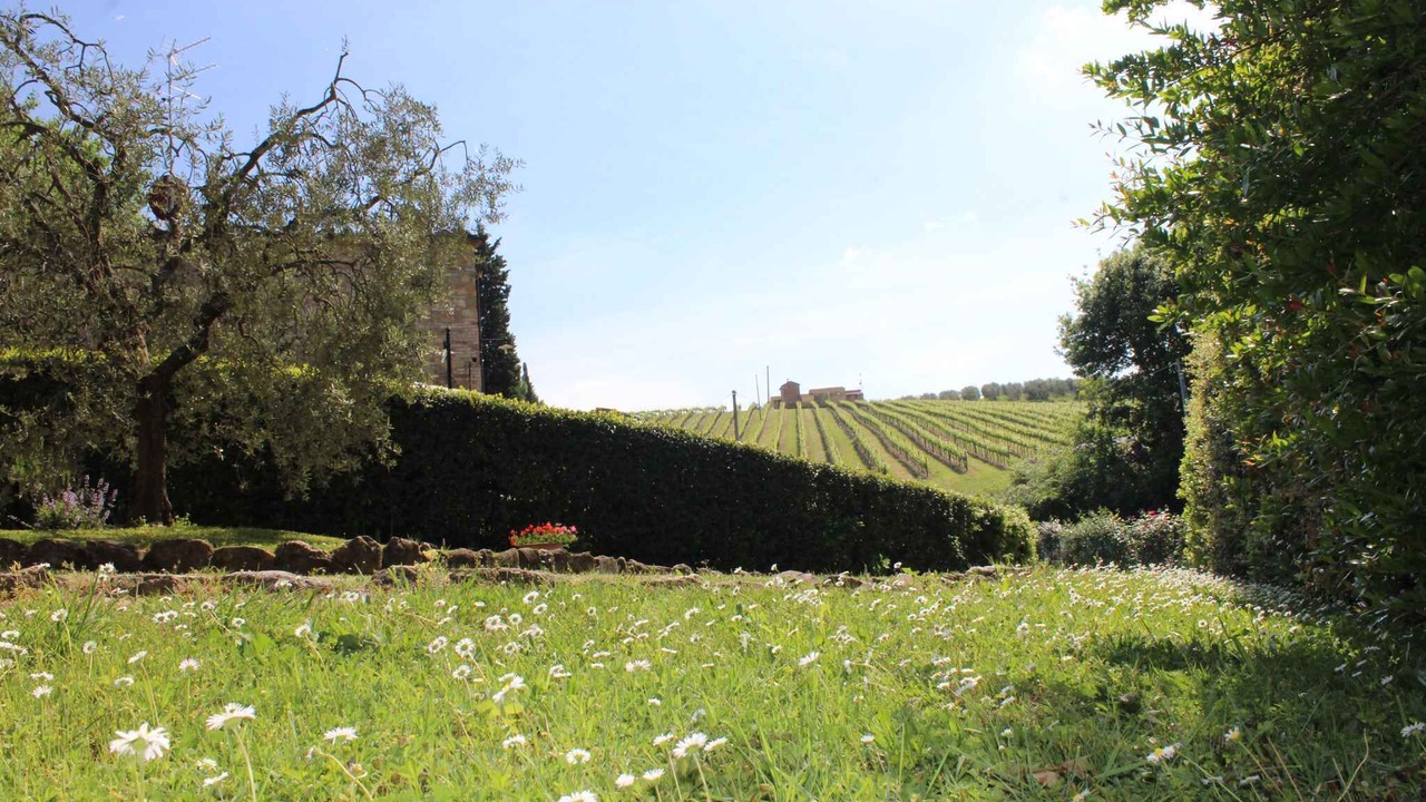 Photo of Outdoor in Gambassi Terme