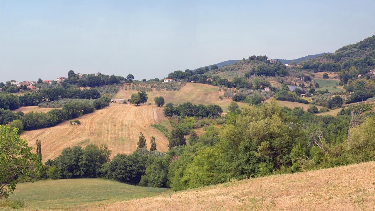 Photo of Others in Stroncone