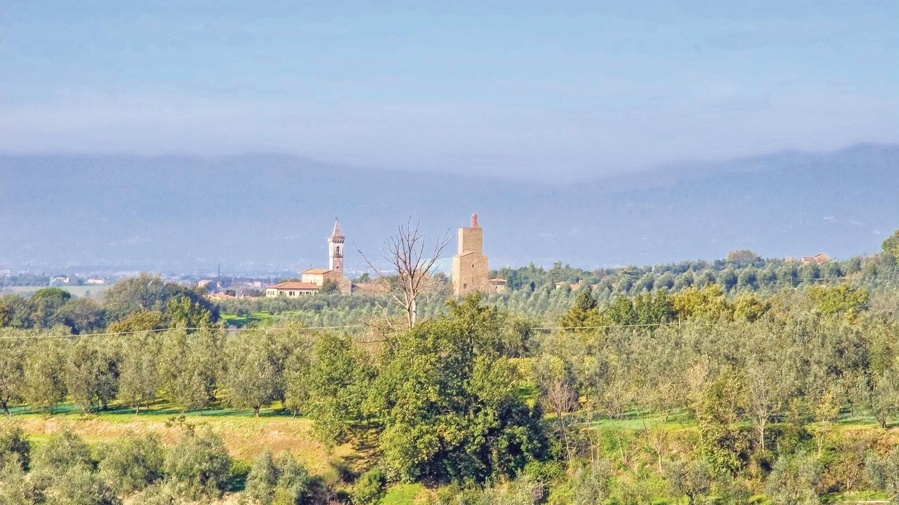 Photo of Others in Marliana