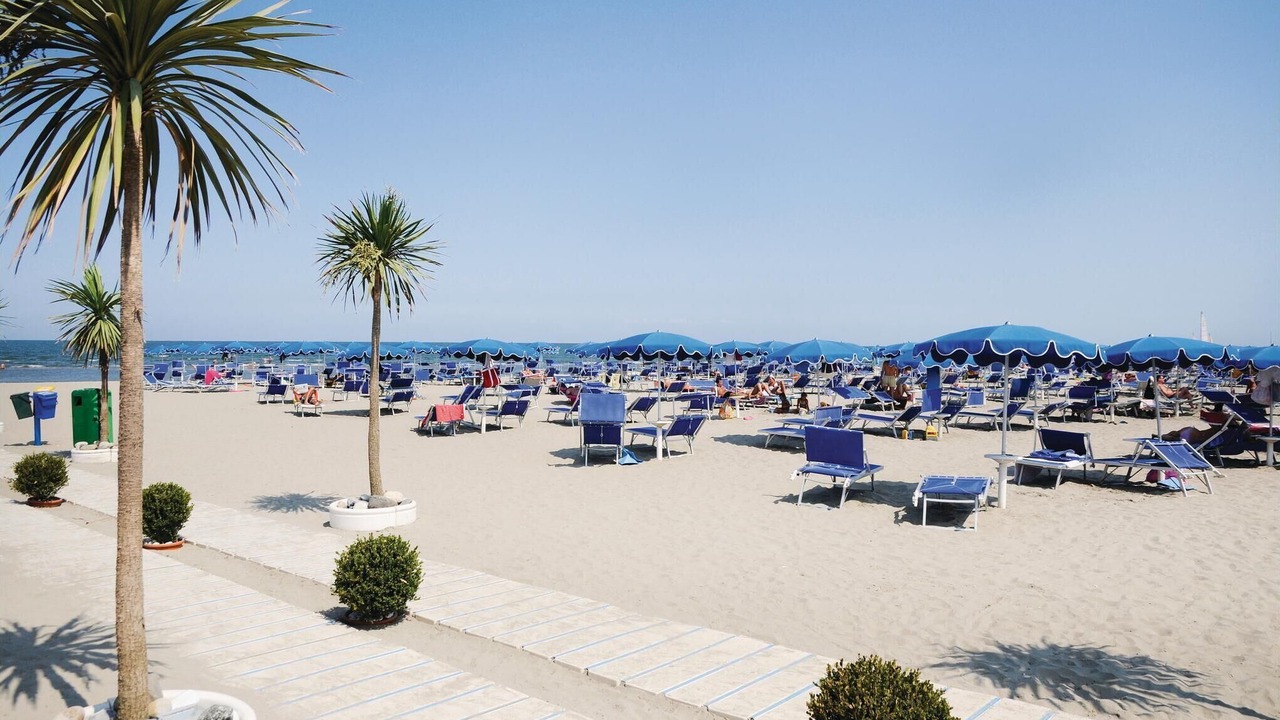 Photo of Others in Isola Albarella