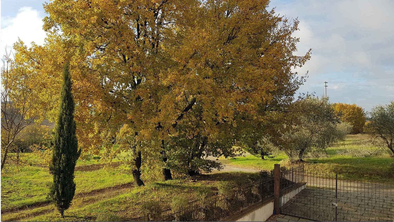 Photo of Outdoor in Ferretto