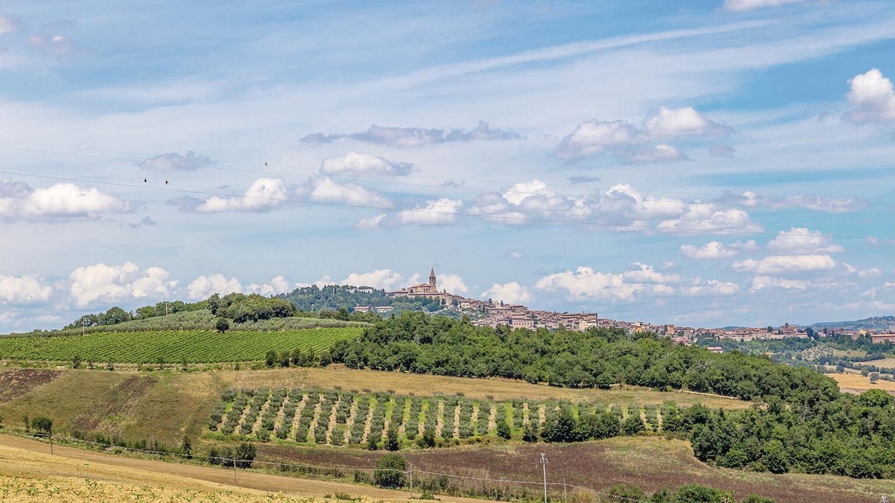Photo of Others in Todi