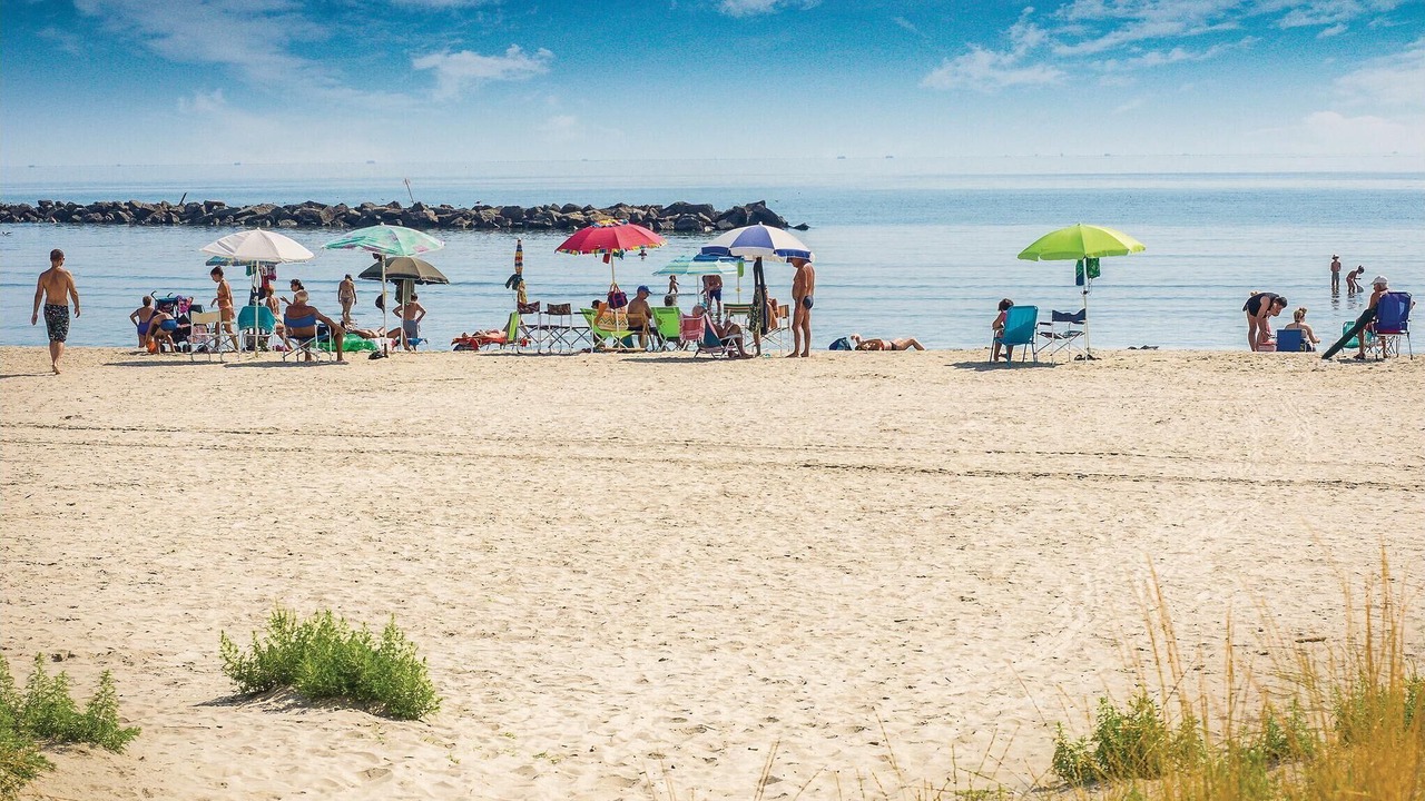 Photo of Others in Lido delle Nazioni