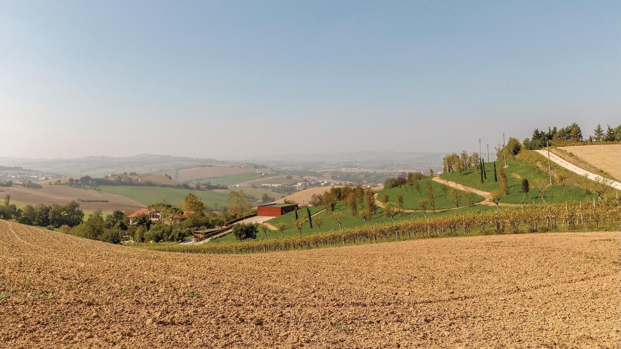 Photo of Others in Montegranaro