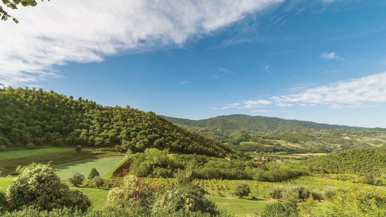 Photo of Others in Dicomano