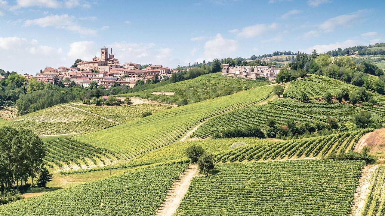 Photo of Others in Alfiano Natta