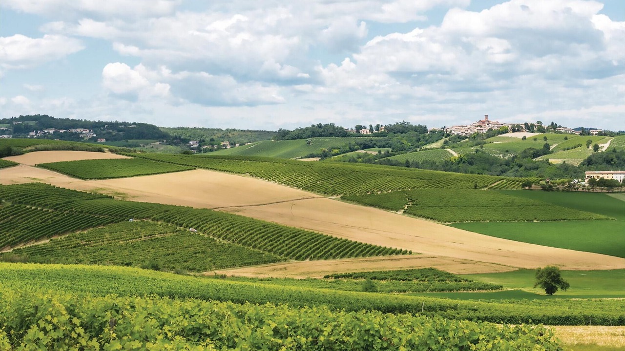 Photo of Others in Alfiano Natta