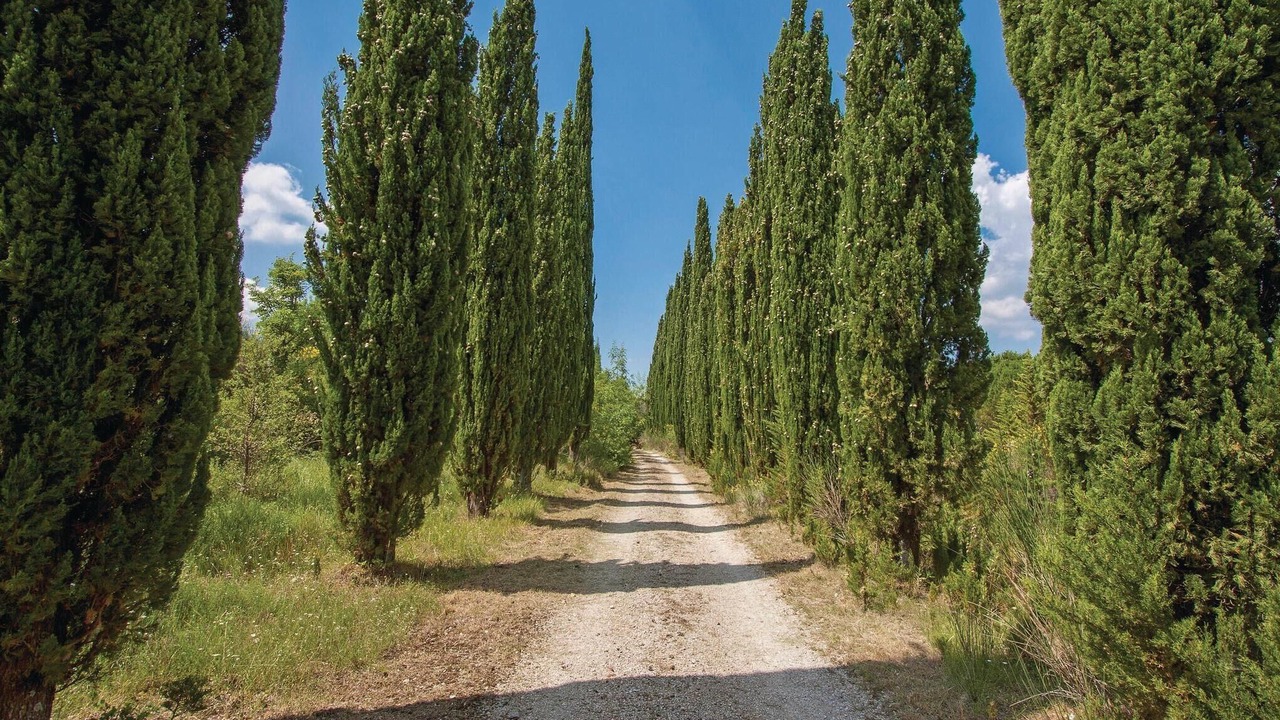 Photo of Others in Castelnuovo di Val di Cecina