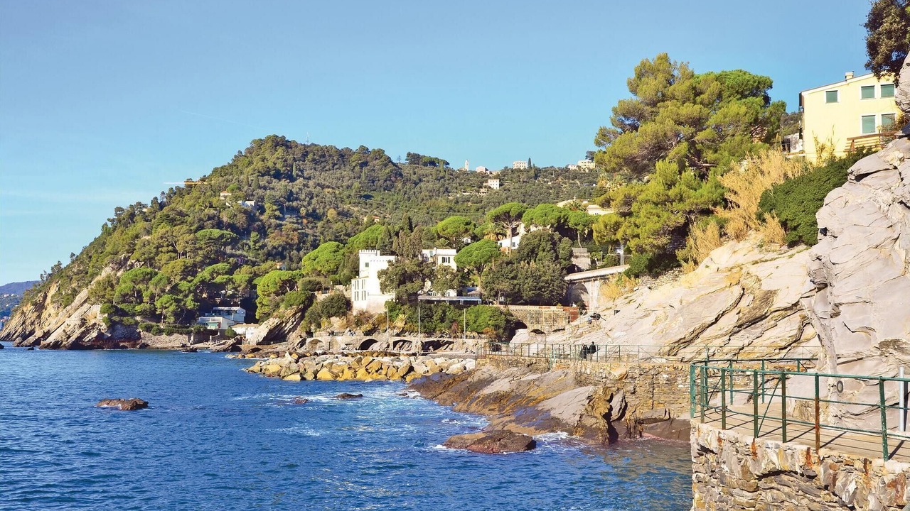 Photo of Others in Recco