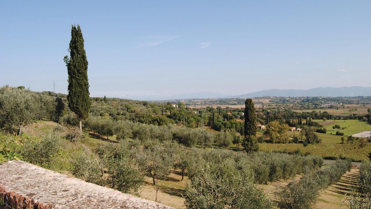 Photo of Others in Montagnano