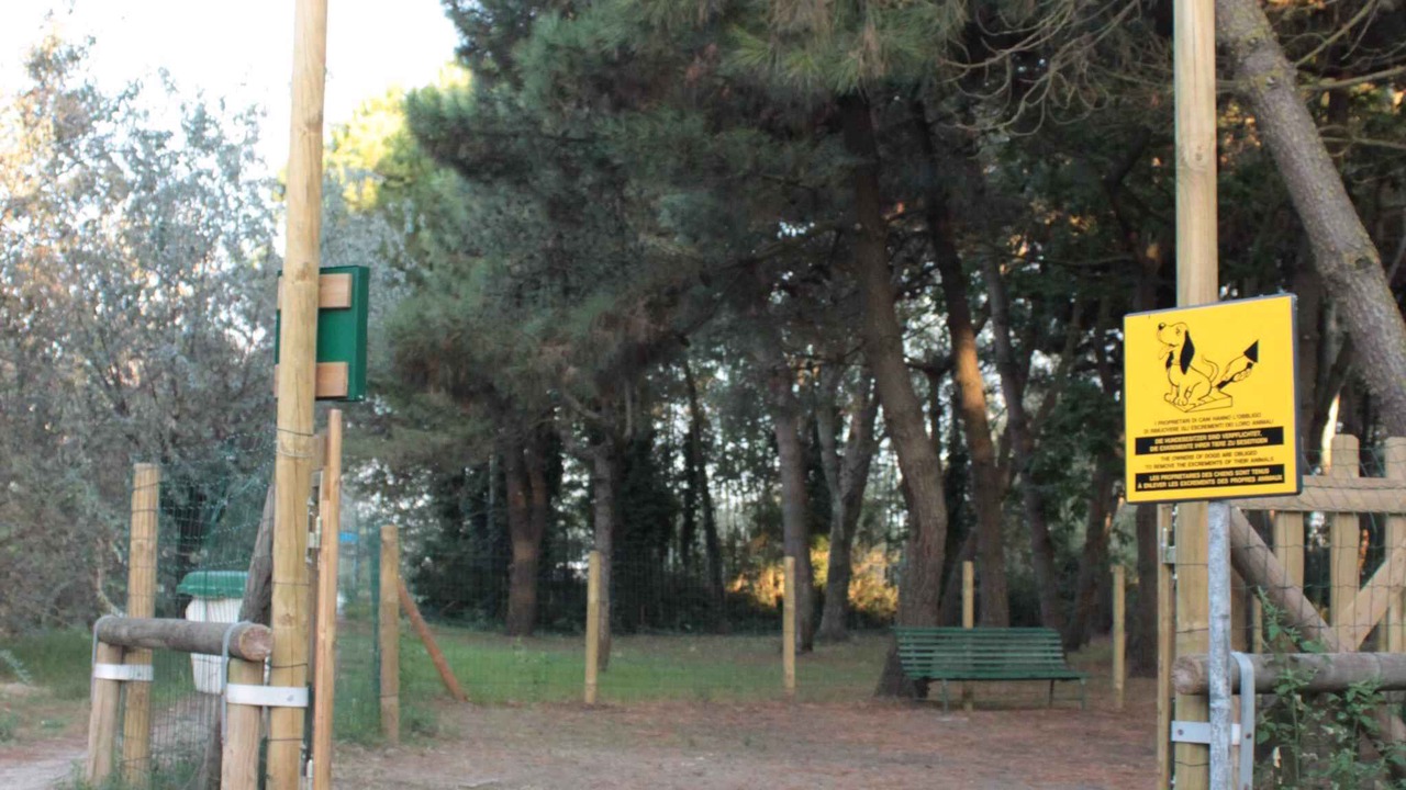 Photo of Outdoor in Lido degli Estensi