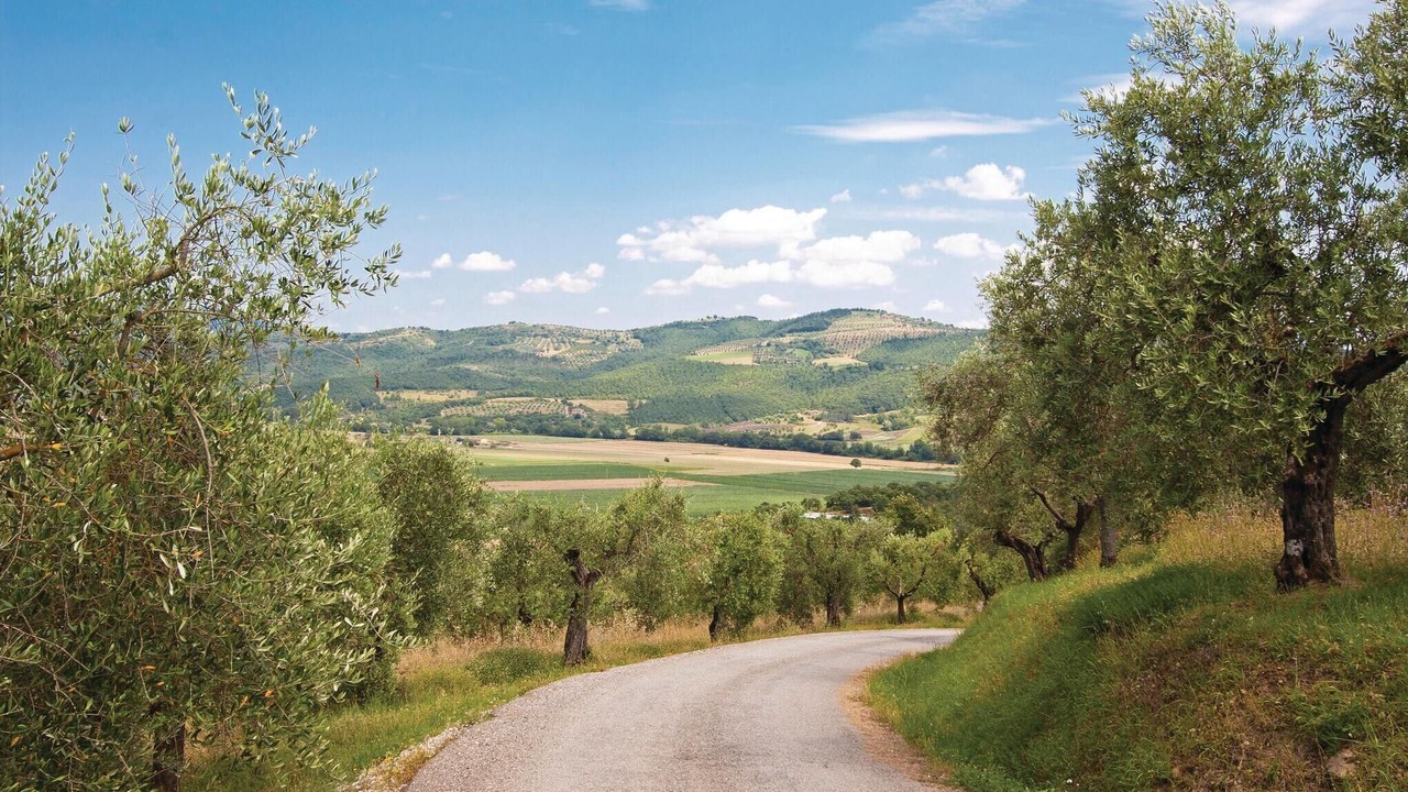 Photo of Others in Magione