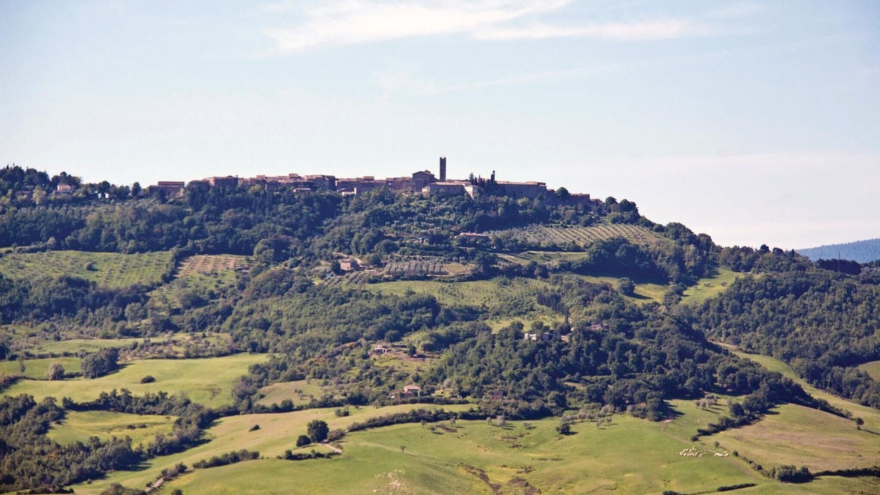 Photo of Others in Radicondoli