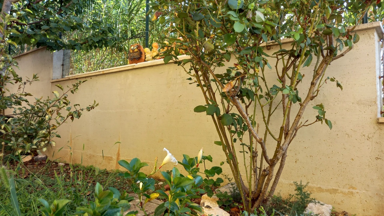 Photo of Outdoor in Loreto