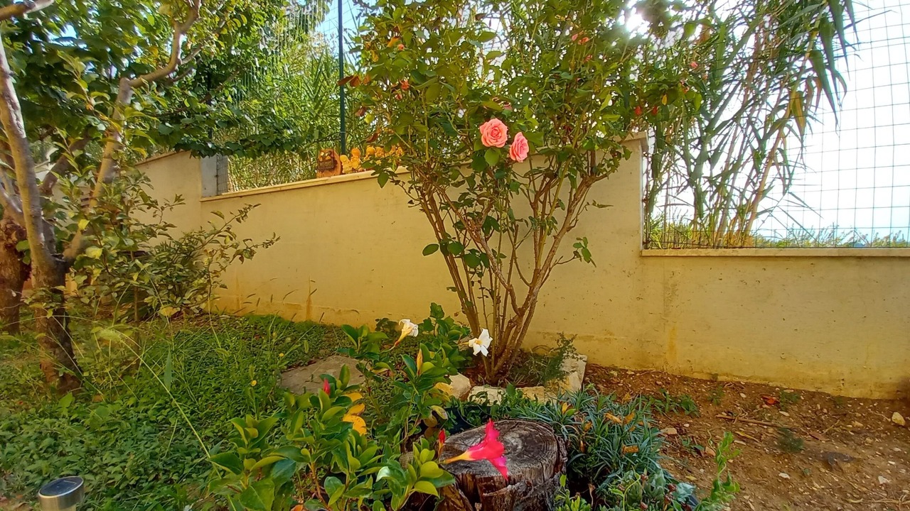 Photo of Outdoor in Loreto