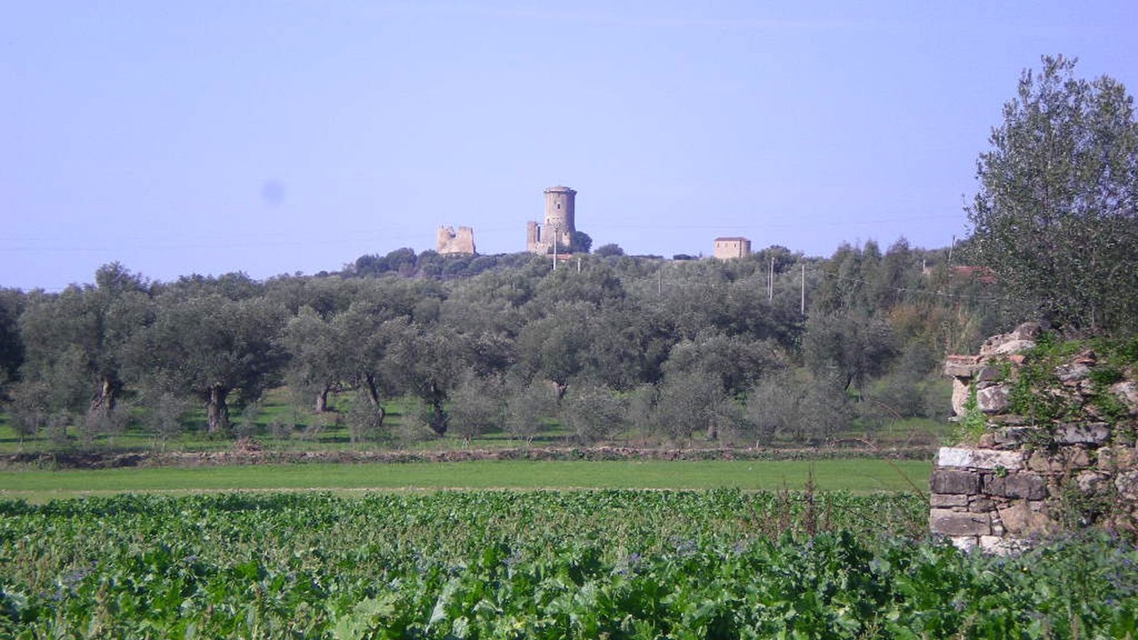 Photo of Outdoor in Ascea
