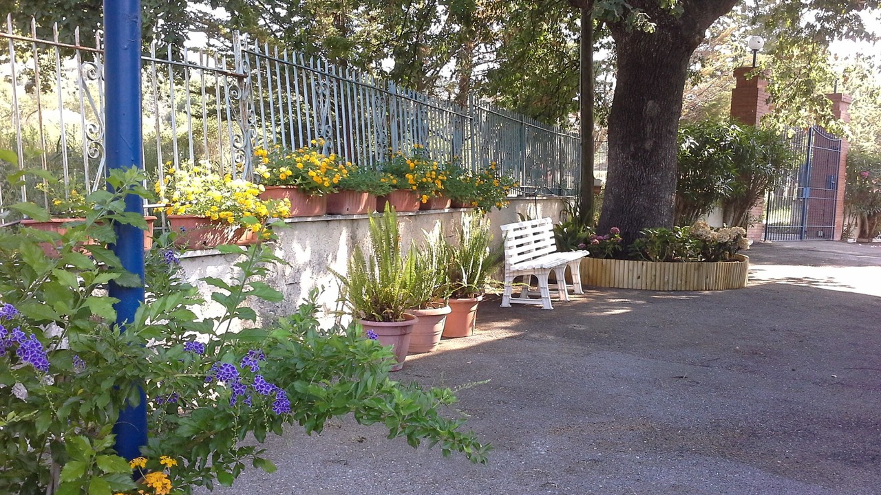 Photo of Outdoor in Ascea