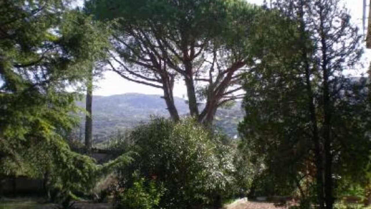 Photo of Outdoor in Ascea