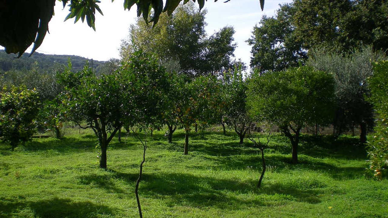 Photo of Outdoor in Ascea
