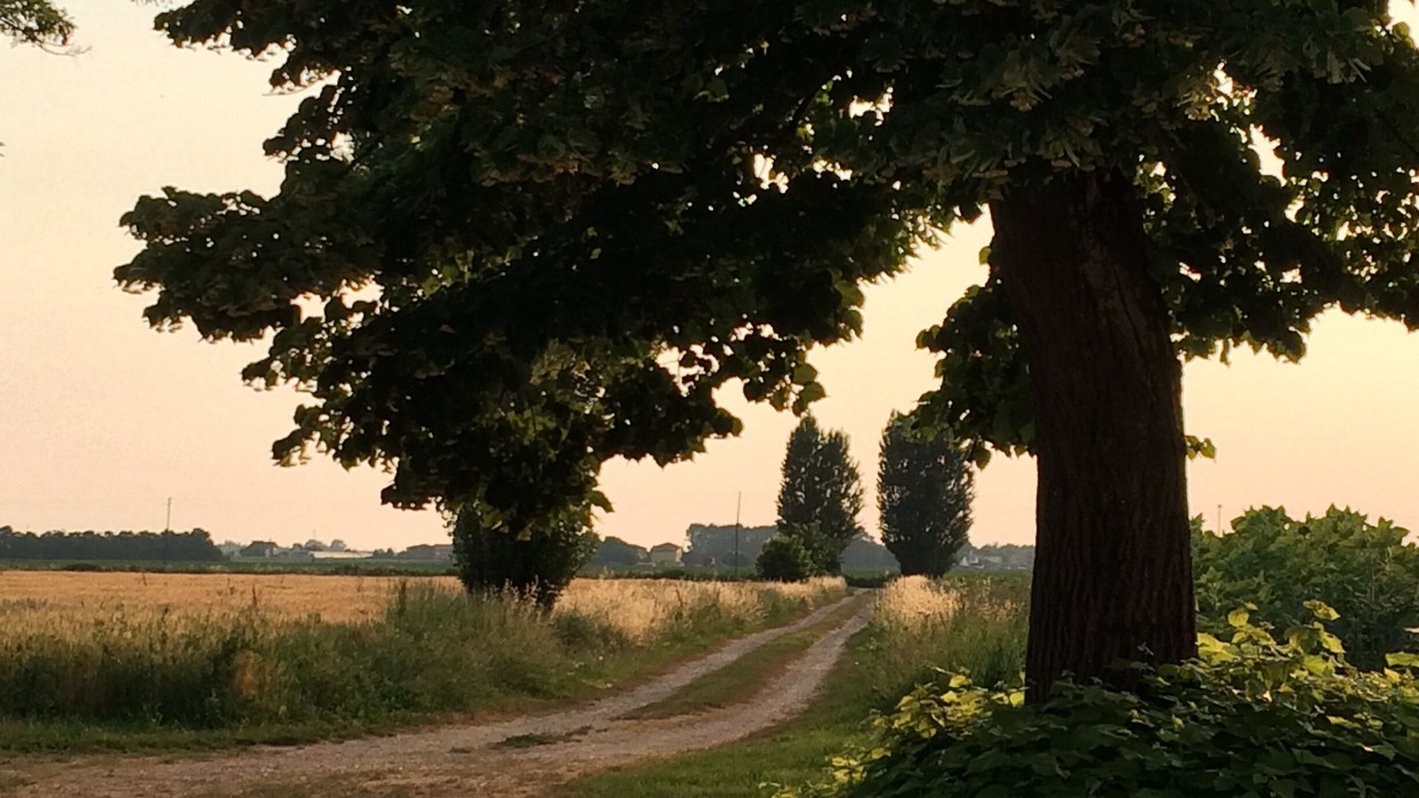 Photo of Others in Correzzola