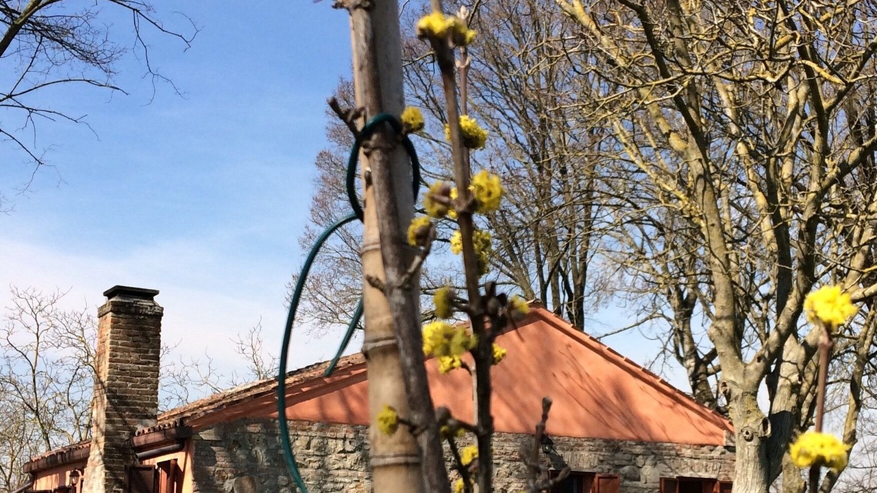Photo of Outdoor in Correzzola