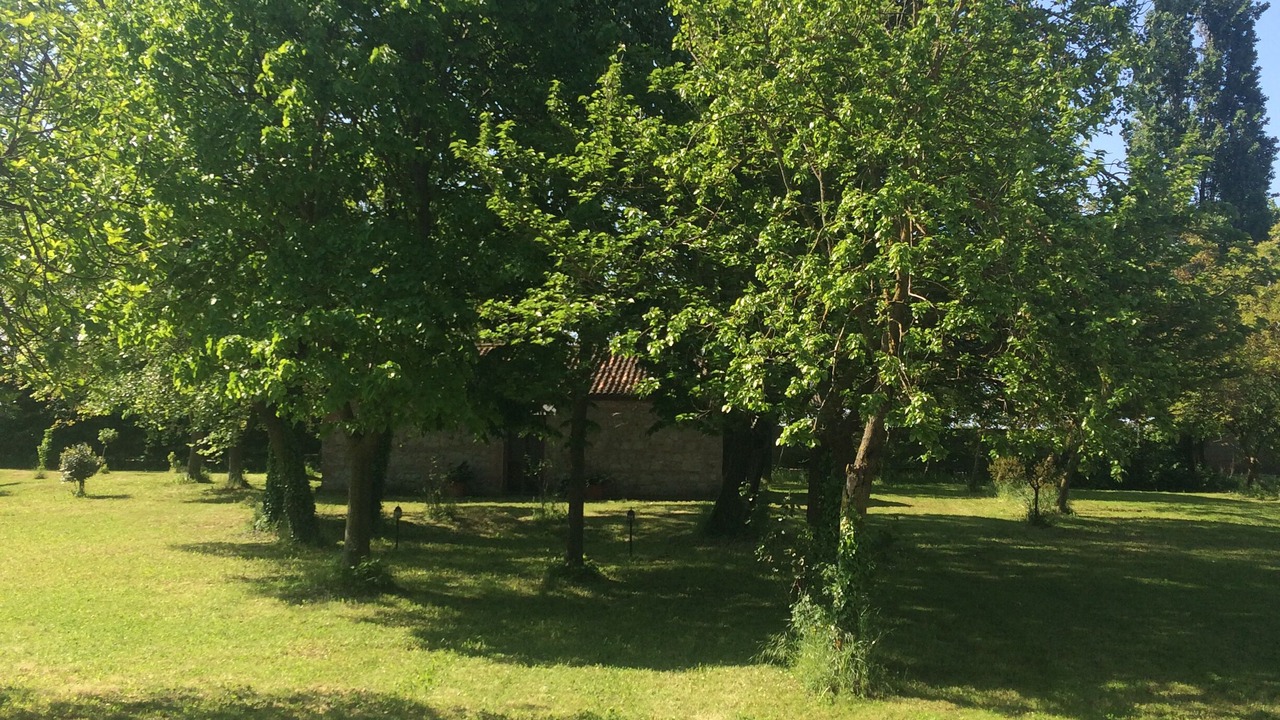 Photo of Outdoor in Correzzola