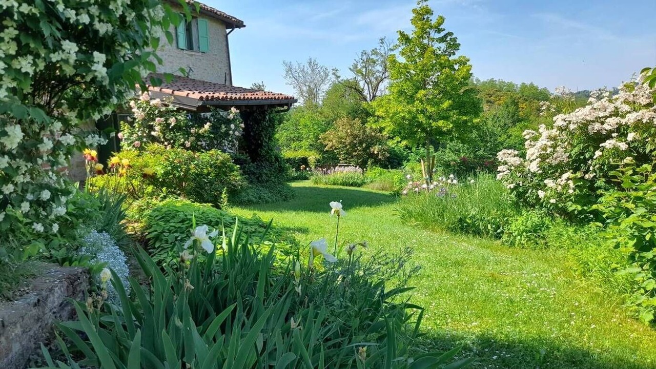 Photo of Outdoor in Montaldeo