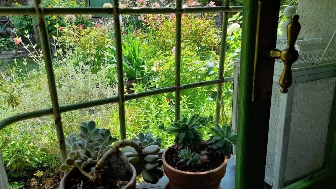 Photo of Outdoor in Montaldeo