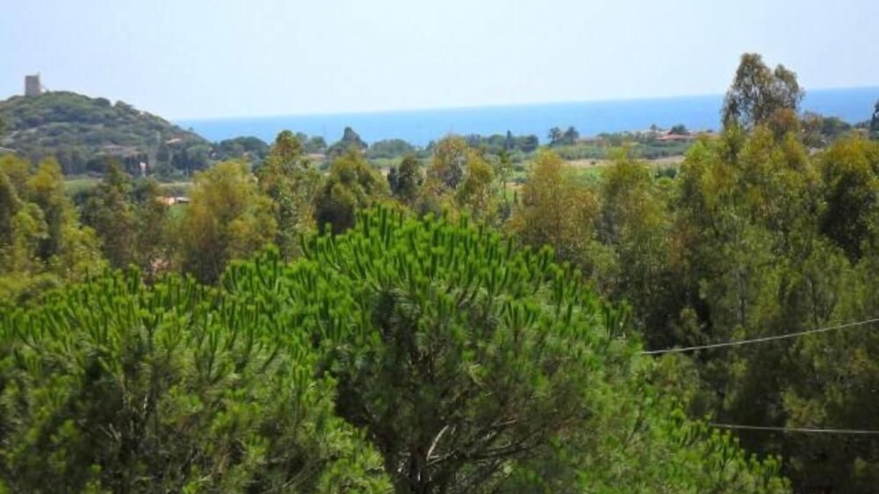 Photo of Others in Chia