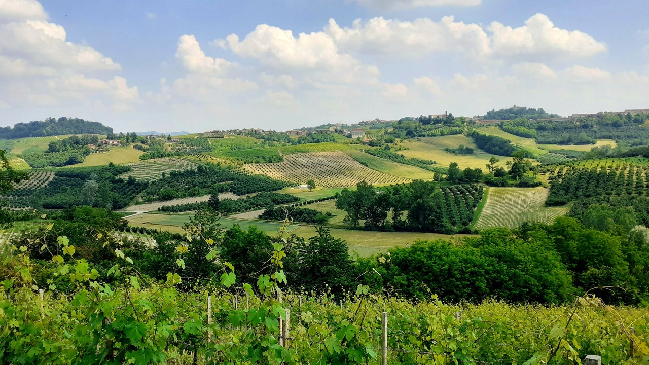 Photo of Others in Tigliole