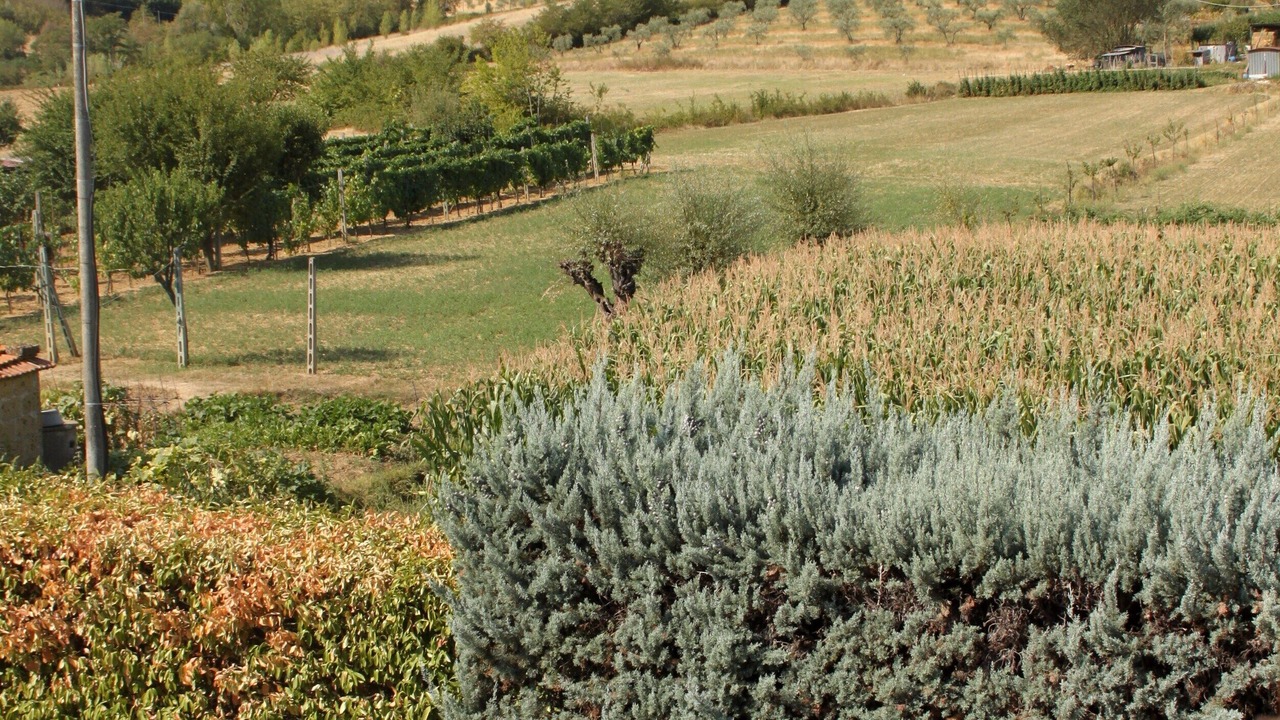 Photo of Outdoor in Magione