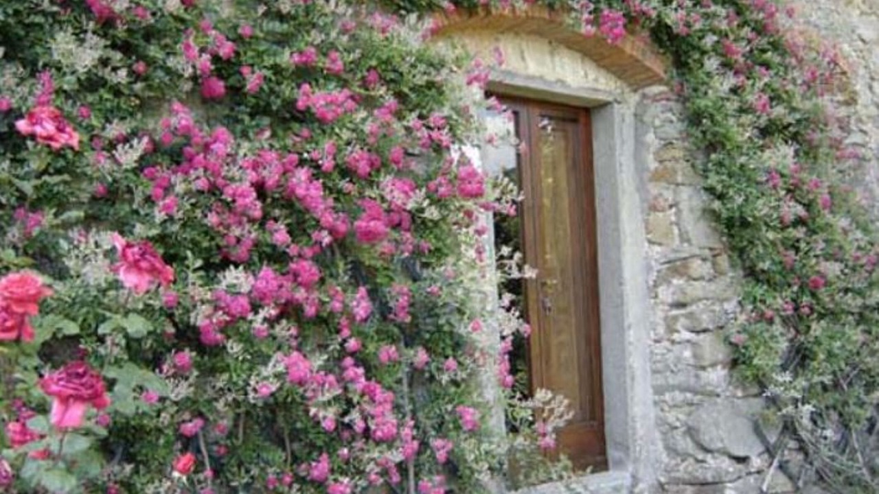 Photo of Outdoor in Pietrabuona