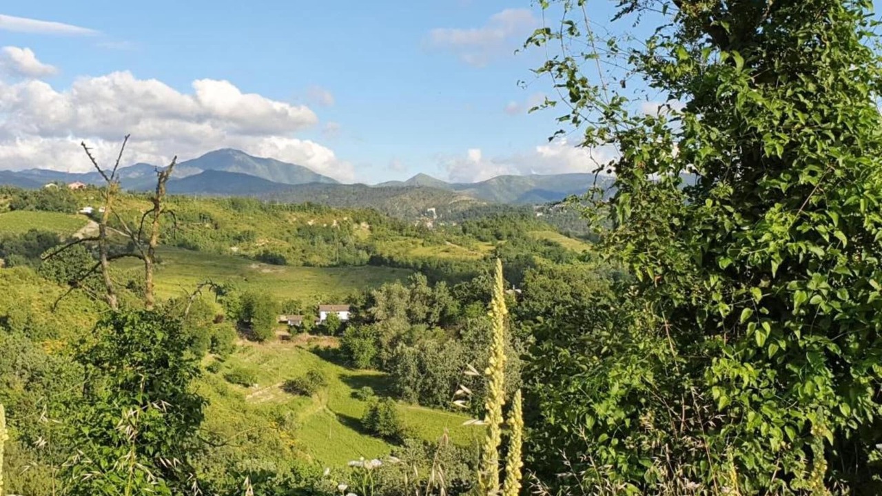 Photo of Others in Ovada