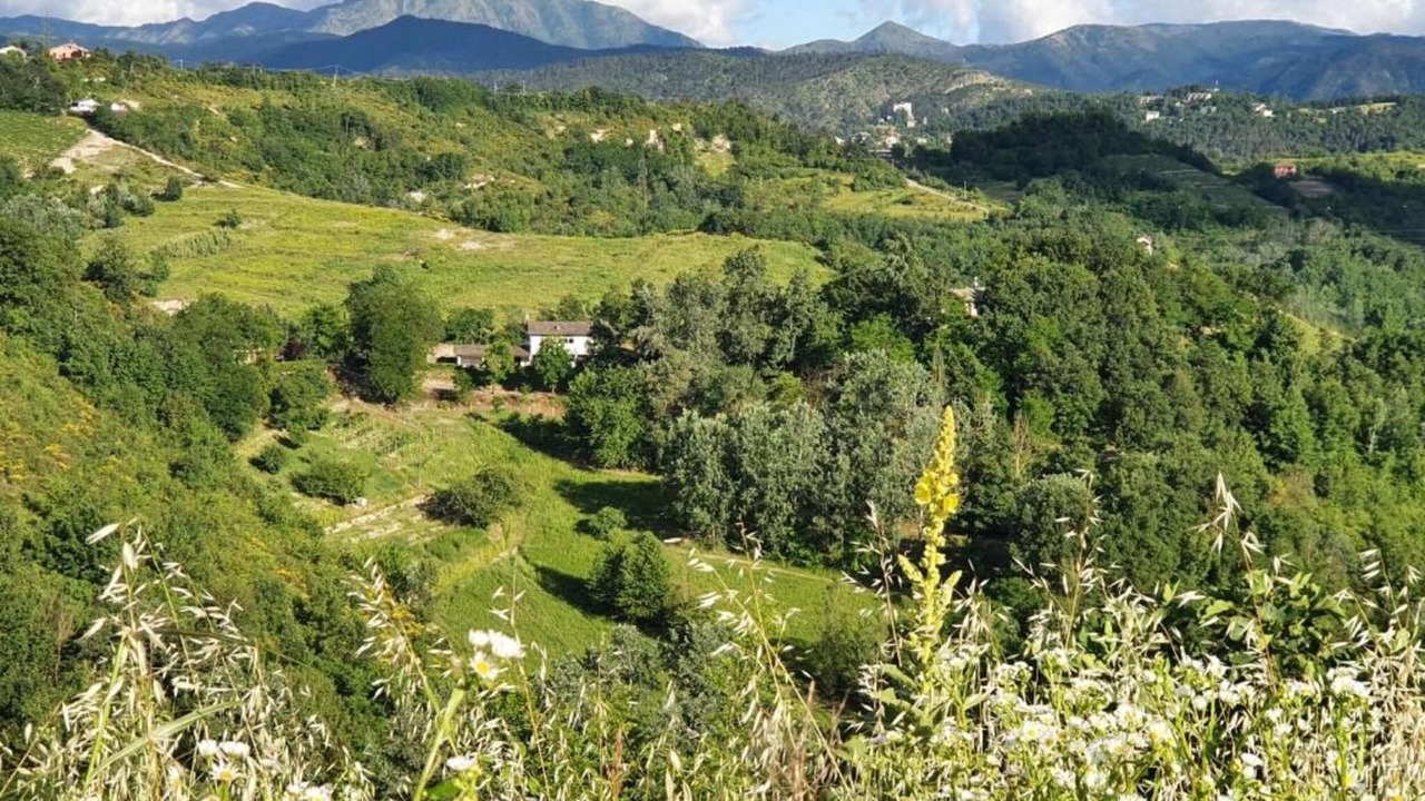 Photo of Others in Ovada