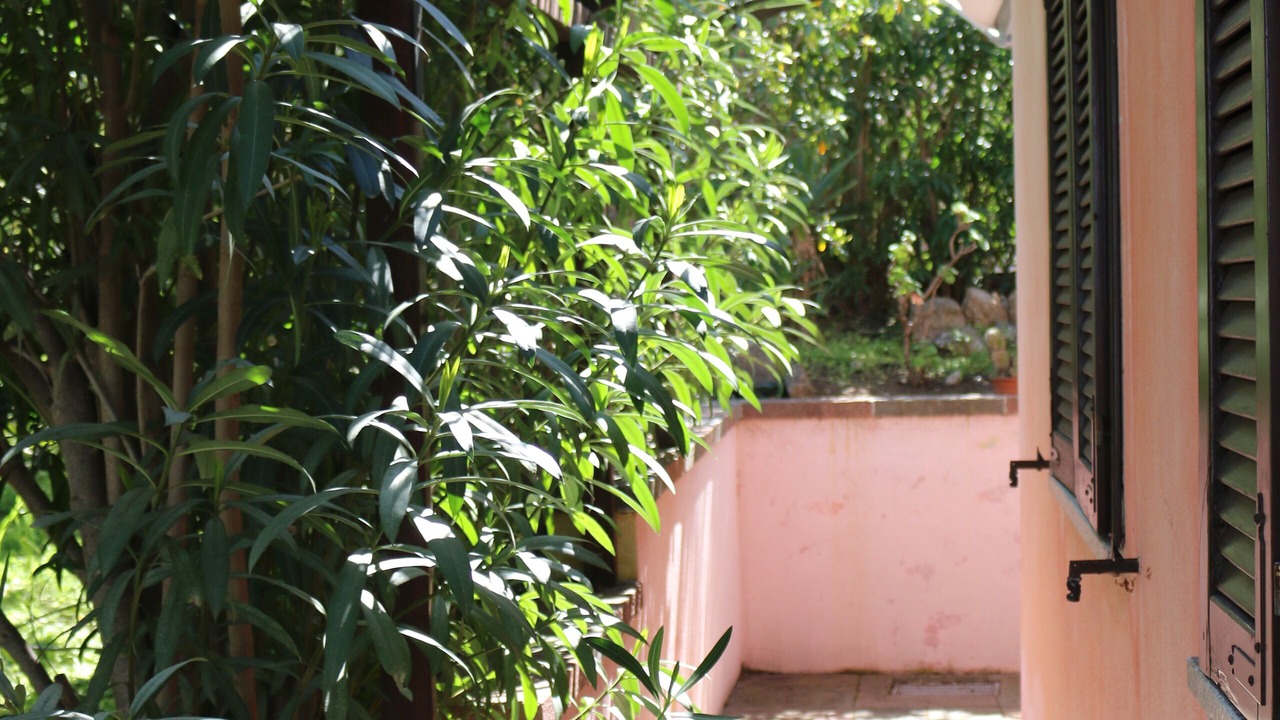 Photo of Outdoor in Lu Lioni