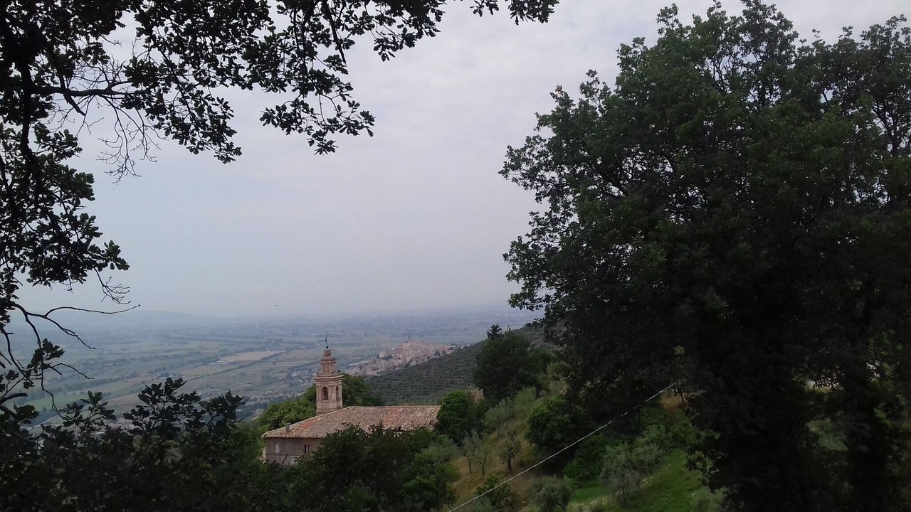 Photo of Others in Bovara