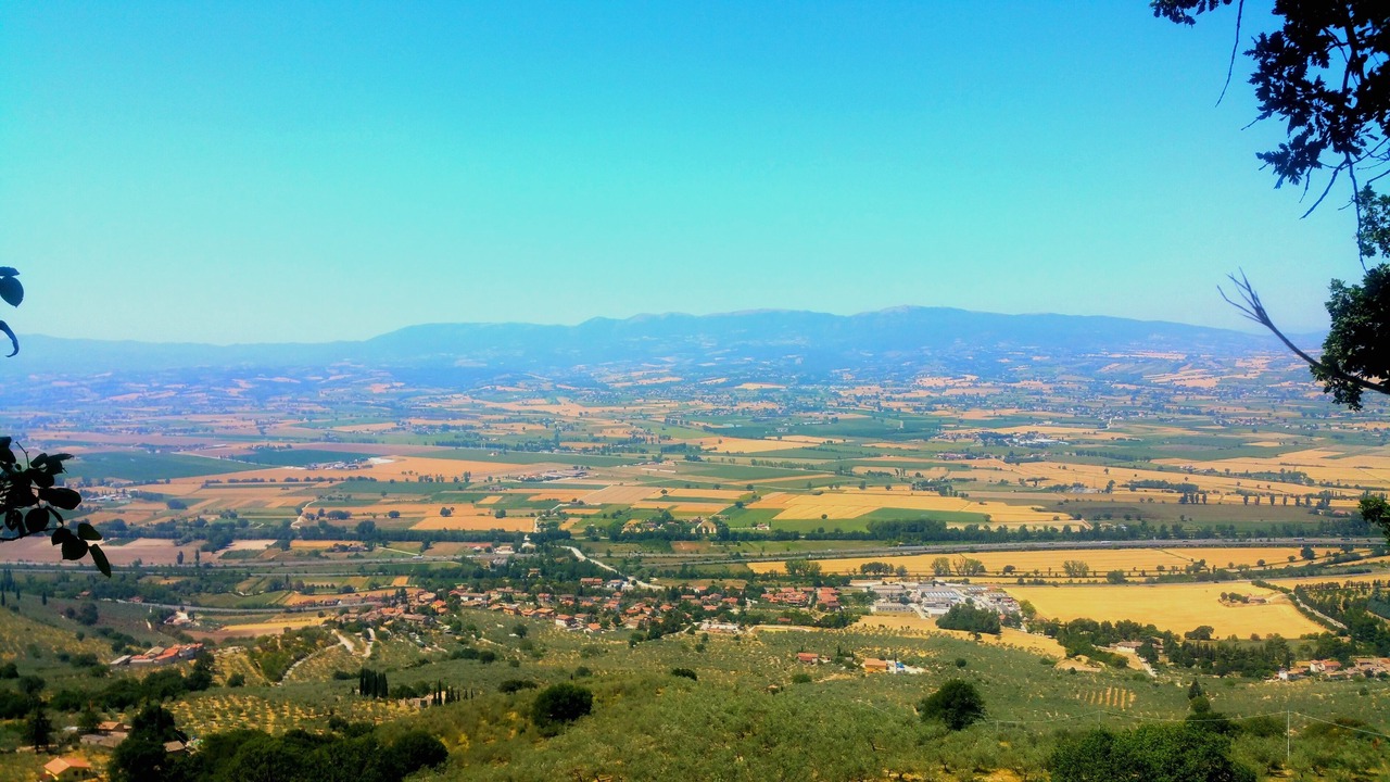 Photo of Others in Bovara