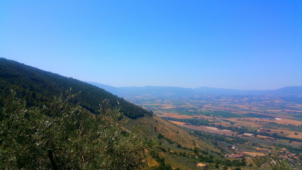 Photo of Others in Bovara