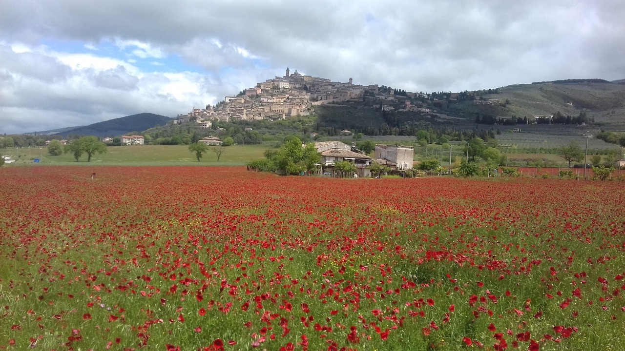 Photo of Outdoor in Bovara